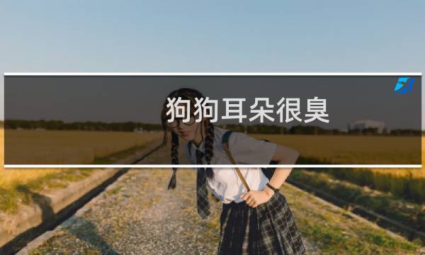 狗狗耳朵很臭 - 狗耳朵很臭是怎么回事