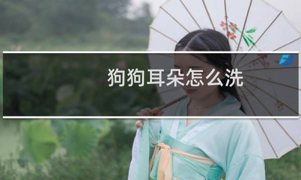 狗狗耳朵怎么洗 - 狗狗洗耳朵用什么