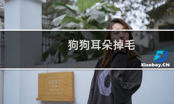 狗狗耳朵掉毛 - 狗耳朵根部掉毛怎么办