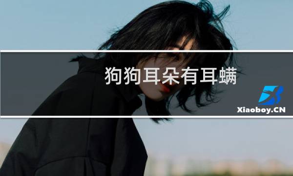 狗狗耳朵有耳螨 - 狗狗耳螨怎么办