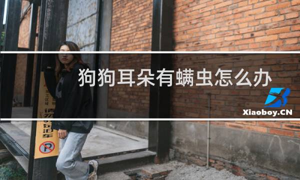 狗狗耳朵有螨虫怎么办 - 狗狗治耳螨的药最简单的方法