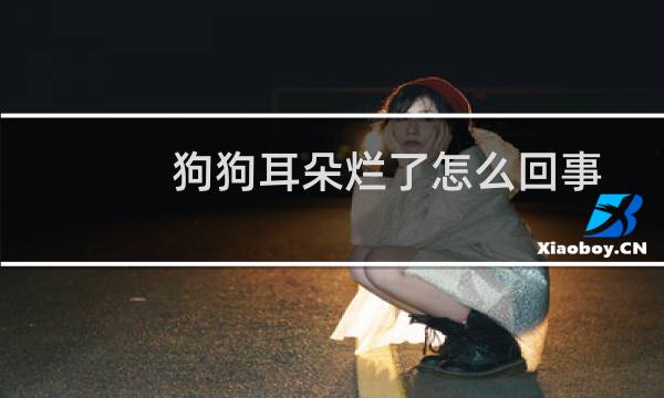 狗狗耳朵烂了怎么回事 - 狗狗耳朵边缘烂了怎么回事