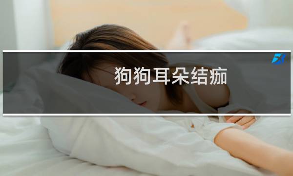 狗狗耳朵结痂 - 狗狗耳朵边缘皮屑结痂图片