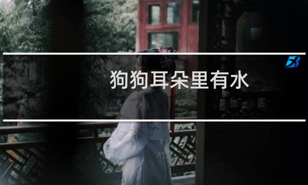 狗狗耳朵里有水 - 狗狗耳朵按压有水声