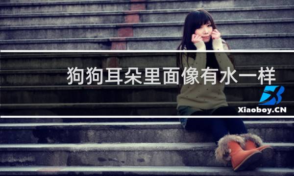 狗狗耳朵里面像有水一样 - 狗狗耳朵按压有水声