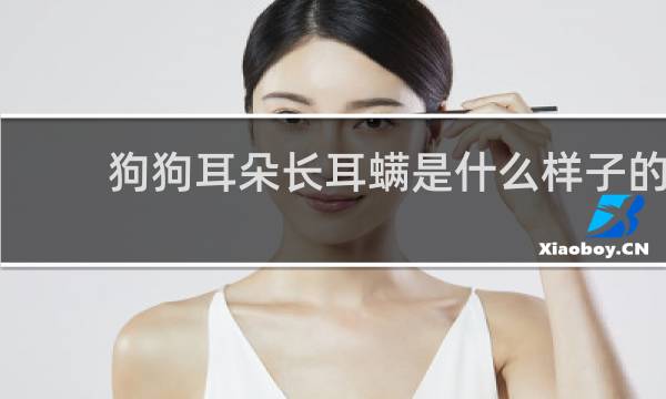 狗狗耳朵长耳螨是什么样子的 - 狗狗耳朵脏就是耳螨吗