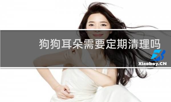 狗狗耳朵需要定期清理吗 - 狗狗耳朵油腻但是干净