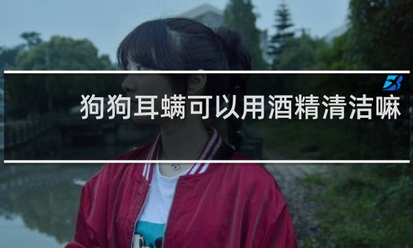狗狗耳螨可以用酒精清洁嘛 - 宠物耳螨可以用酒精吗