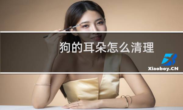 狗的耳朵怎么清理 - 狗耳屎和耳螨区别图片