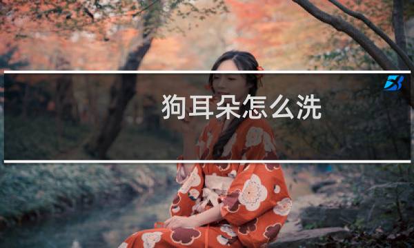 狗耳朵怎么洗 - 给狗狗清洗耳朵