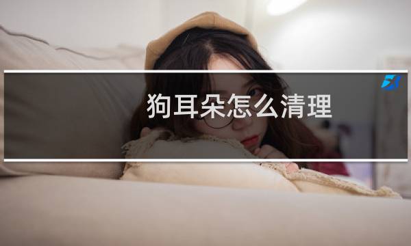 狗耳朵怎么清理 - 狗狗耳朵用什么清洗
