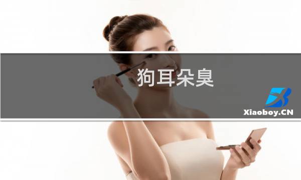 狗耳朵臭 - 狗狗耳朵干净但是很臭