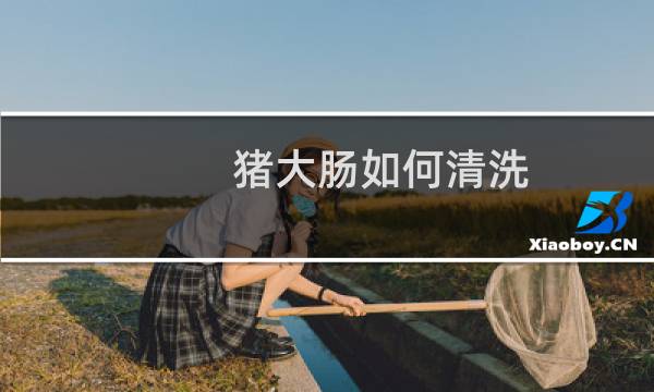 猪大肠如何清洗 - 猪大肠的清洗方法窍门