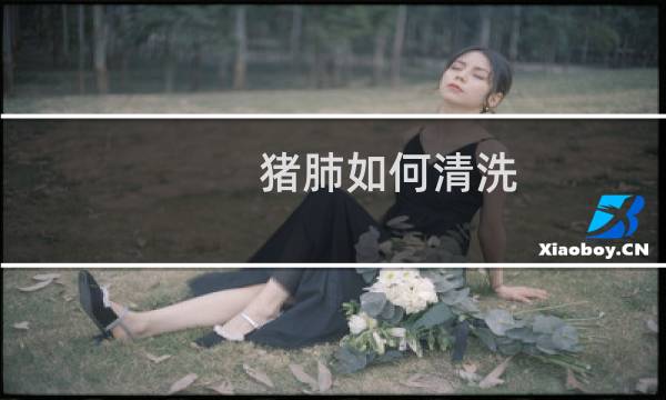猪肺如何清洗 - 怎样洗猪肺又快又干净