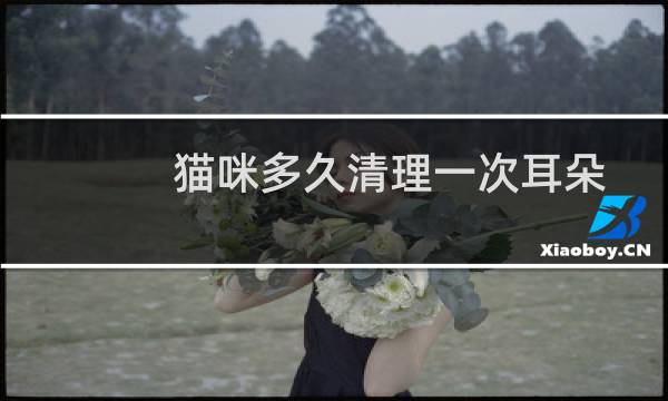 猫咪多久清理一次耳朵 - 猫耳屎和耳螨区分图片