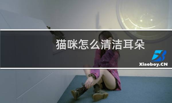猫咪怎么清洁耳朵 - 怎么清理耳朵