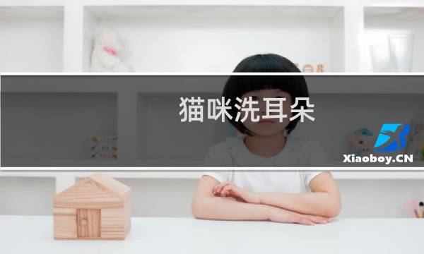 猫咪洗耳朵 - 自制猫咪洗耳水