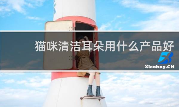 猫咪清洁耳朵用什么产品好 - 猫咪洗耳液排行