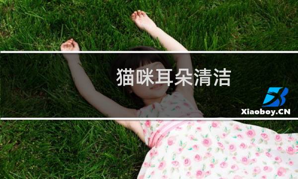 猫咪耳朵清洁 - 给猫怎么洗耳朵