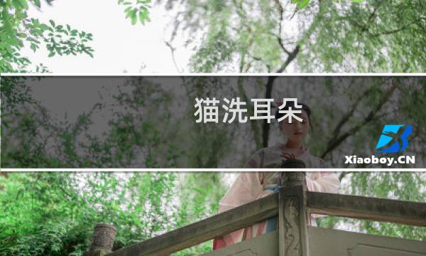 猫洗耳朵 - 猫咪需要清理耳朵吗