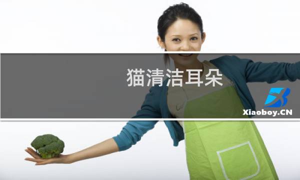 猫清洁耳朵 - 猫咪日常清理耳朵用什么好