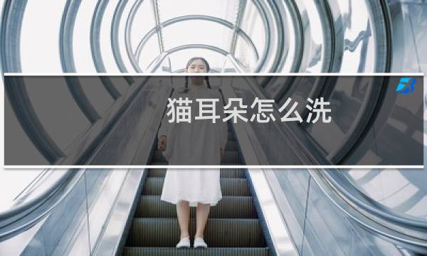 猫耳朵怎么洗 - 猫咪耳朵清洁