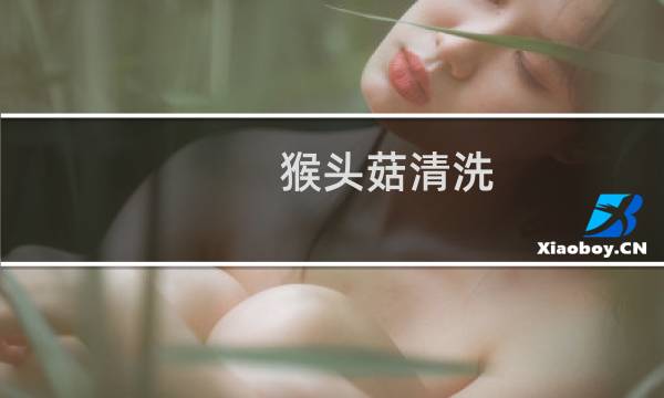 猴头菇清洗 - 新鲜猴头菇怎么洗才干净