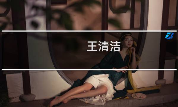 王清洁 - 王清洁 太钢