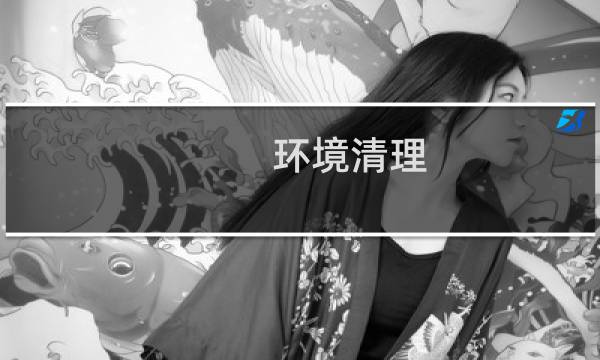 环境清理 - 开展环境卫生清扫活动