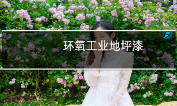 环氧工业地坪漆 -