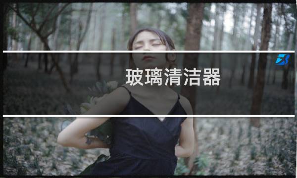 玻璃清洁器 - 玻璃清洁器及价格