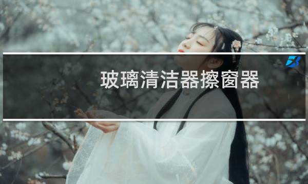 玻璃清洁器擦窗器 - 十大擦玻璃器品牌排行榜