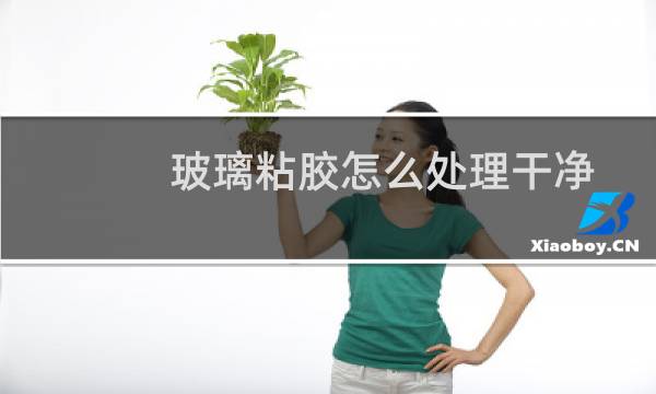 玻璃粘胶怎么处理干净 - 玻璃上的胶怎么快速清除