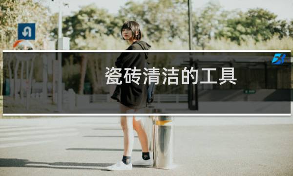 瓷砖清洁的工具 - 擦高处的瓷砖用的工具