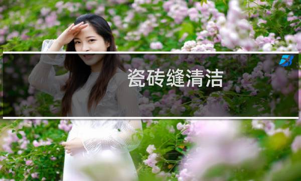 瓷砖缝清洁 - 如何清洗瓷砖缝