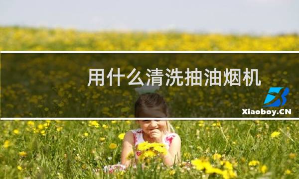 用什么清洗抽油烟机 - 用啥清理油烟机清洗的干净