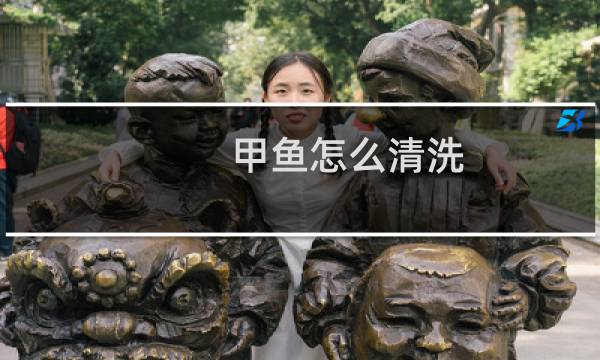 甲鱼怎么清洗 - 怎么处理甲鱼
