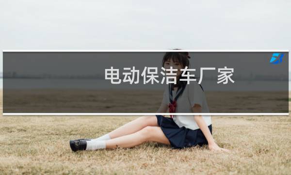 电动保洁车厂家 - 公园电动保洁车