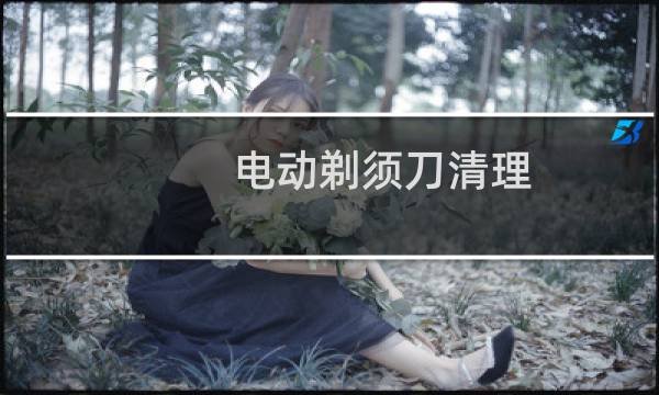 电动剃须刀清理 - 电动剃须刀多久清洗
