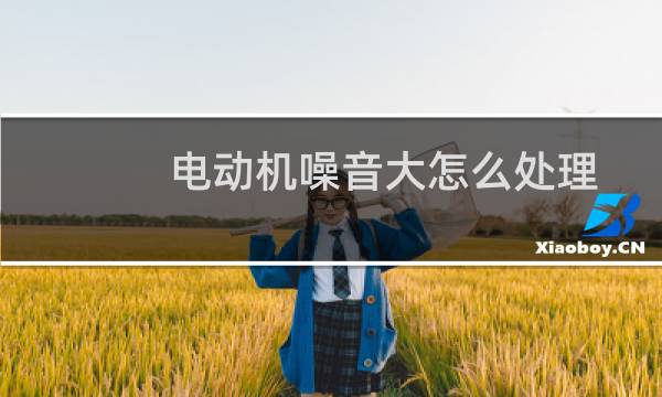 电动机噪音大怎么处理 - 电机的电磁声音怎么处理