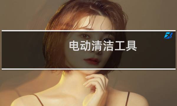 电动清洁工具 - 手用电动清洁刷