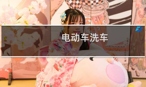 电动车洗车 - 电动汽车可以去洗车店洗车吗