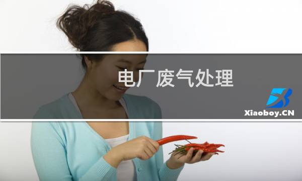 电厂废气处理 - 煤炭发电厂的废气处理方程式