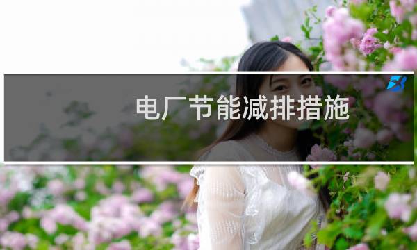电厂节能减排措施 - 发电厂节能降耗措施