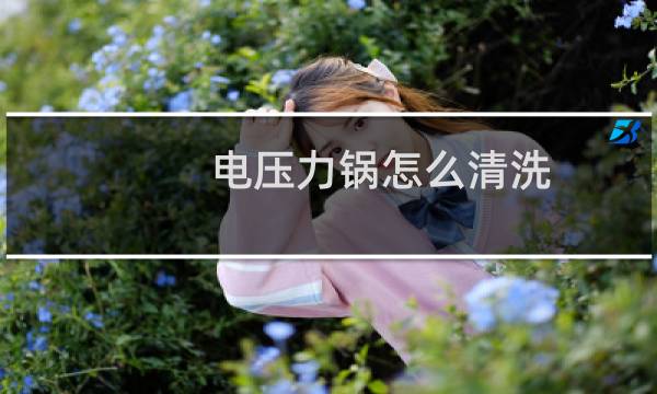 电压力锅怎么清洗 - 电压力锅底盘怎么清洗