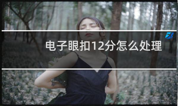 电子眼扣12分怎么处理 - 电子眼违章12分怎么处理