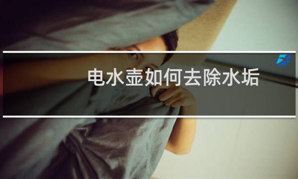 电水壶如何去除水垢 - 水壶里的水垢应该怎么去除