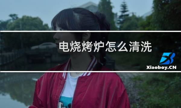 电烧烤炉怎么清洗 - 电烧烤炉清洗视频