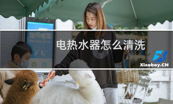 电热水器怎么清洗? - 电热水器温度探头安装图
