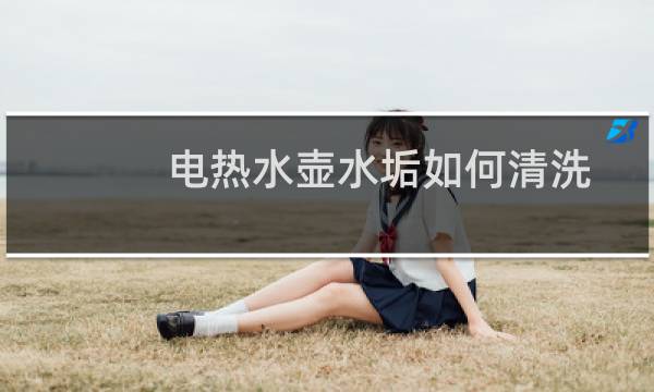 电热水壶水垢如何清洗 - 暖水壶的水垢怎样清洗